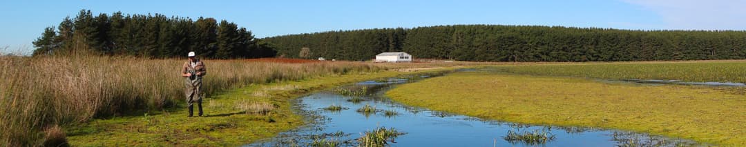 Growing Data Foundation